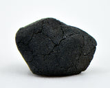 1.2g C2-ung TARDA Carbonaceous Chondrite Meteorite