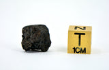 1.46g C2-ung TARDA Carbonaceous Chondrite Meteorite