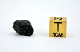 1.46g C2-ung TARDA Carbonaceous Chondrite Meteorite