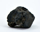 1.46g C2-ung TARDA Carbonaceous Chondrite Meteorite