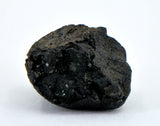 1.46g C2-ung TARDA Carbonaceous Chondrite Meteorite