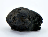 1.46g C2-ung TARDA Carbonaceous Chondrite Meteorite