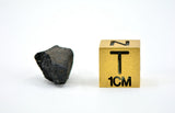 1.39g C2-ung TARDA Carbonaceous Chondrite Meteorite