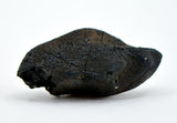 1.39g C2-ung TARDA Carbonaceous Chondrite Meteorite