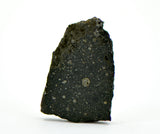 0.74g CM2 Tinina 001 Meteorite I New Carbonaceous Chondrite