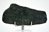 8.24g CM2 Tinina 001 Meteorite I New Carbonaceous Chondrite