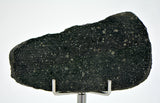 8.73g CM2 Tinina 001 Meteorite I New Carbonaceous Chondrite