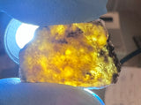 0.81g TOUAT 005 Lunar Meteorite Slice