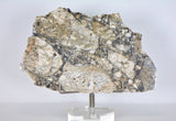 27.58g Translucent Lunar Meteorite Slice