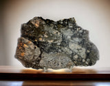 27.58g Translucent Lunar Meteorite Slice