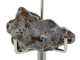 12.19g AGOUDAL Iron Meteorite - IIAB Iron