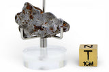 12.19g AGOUDAL Iron Meteorite - IIAB Iron