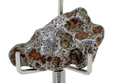 12.19g AGOUDAL Iron Meteorite - IIAB Iron