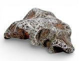 12.19g AGOUDAL Iron Meteorite - IIAB Iron