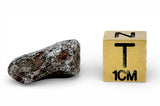 7.31g AGOUDAL Iron Meteorite - IIAB Iron
