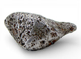 7.31g AGOUDAL Iron Meteorite - IIAB Iron