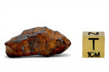 14.04g AGOUDAL Iron Meteorite I IIAB Iron