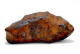 14.04g AGOUDAL Iron Meteorite I IIAB Iron