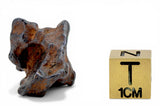 18.63g AGOUDAL Iron Meteorite I IIAB Iron