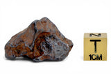 18.63g AGOUDAL Iron Meteorite I IIAB Iron