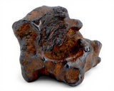18.63g AGOUDAL Iron Meteorite I IIAB Iron