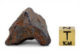 20.81g AGOUDAL Iron Meteorite I IIAB Iron