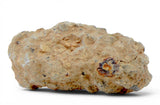 1.66g Aubrite Achondrite Meteorite Fragment I NWA 13304