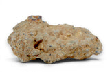 1.66g Aubrite Achondrite Meteorite Fragment I NWA 13304