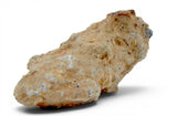 1.66g Aubrite Achondrite Meteorite Fragment I NWA 13304