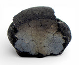 0.34g TARDA C2-ung Carbonaceous Chondrite Meteorite fragment