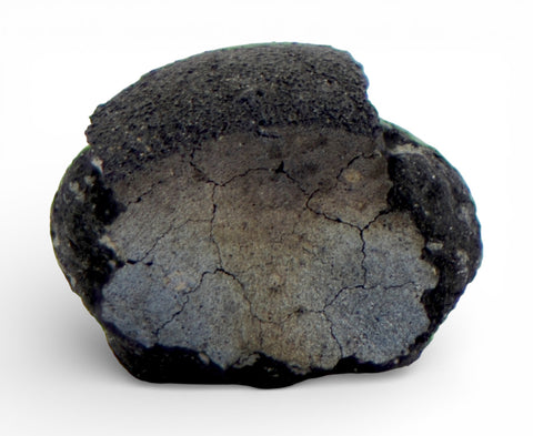 0.34g TARDA C2-ung Carbonaceous Chondrite Meteorite fragment