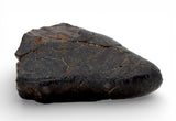 77.7g Unclassified NWA Ordinary Chondrite Meteorite