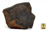 167.95g Unclassified NWA Ordinary Chondrite Meteorite