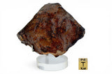 175.90g Unclassified NWA Ordinary Chondrite Meteorite