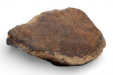 121.5g Unclassified NWA Ordinary Chondrite Meteorite