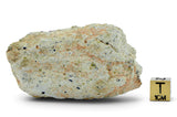 168.9g Diogenite HED Achondrite Meteorite from Asteroid 4 Vesta I NWA 16081