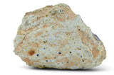 168.9g Diogenite HED Achondrite Meteorite from Asteroid 4 Vesta I NWA 16081
