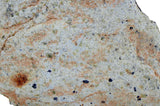 168.9g Diogenite HED Achondrite Meteorite from Asteroid 4 Vesta I NWA 16081
