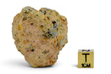 131.8g Diogenite I HED Achondrite Meteorite from Asteroid 4 Vesta