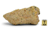131.8g Diogenite I HED Achondrite Meteorite from Asteroid 4 Vesta