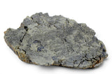 23.80g Diogenite Meteorite end piece I HED Meteorite from Asteroid 4 Vesta I NWA 18094