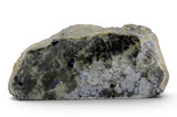 42.22g Diogenite Meteorite piece I HED Meteorite from Asteroid 4 Vesta I NWA 18094