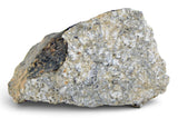24.04g Eucrite Monomict with fusion crust I HED achondrite I NWA 12928
