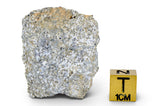 24.04g Eucrite Monomict with fusion crust I HED achondrite I NWA 12928