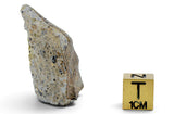 19.20g Howardite HED Achondrite I Amazing Meteorite from Vesta with fusion crust I NWA 18047