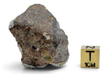 19.20g Howardite HED Achondrite I Amazing Meteorite from Vesta with fusion crust I NWA 18047