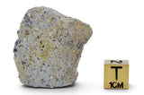 19.20g Howardite HED Achondrite I Amazing Meteorite from Vesta with fusion crust I NWA 18047