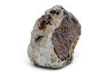 9.51g Howardite HED Achondrite I Amazing Meteorite from Vesta with fusion crust I NWA 18047