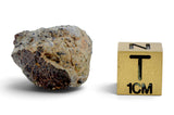9.51g Howardite HED Achondrite I Amazing Meteorite from Vesta with fusion crust I NWA 18047