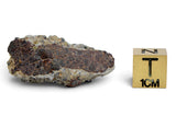 9.51g Howardite HED Achondrite I Amazing Meteorite from Vesta with fusion crust I NWA 18047